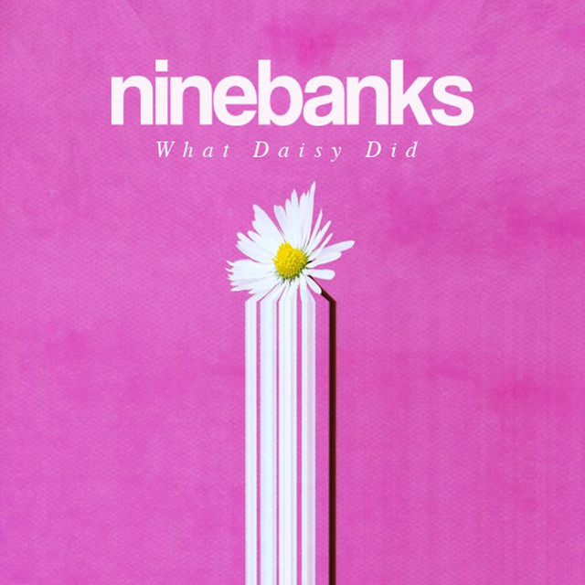 Ninebanks — What Daisy Did artwork