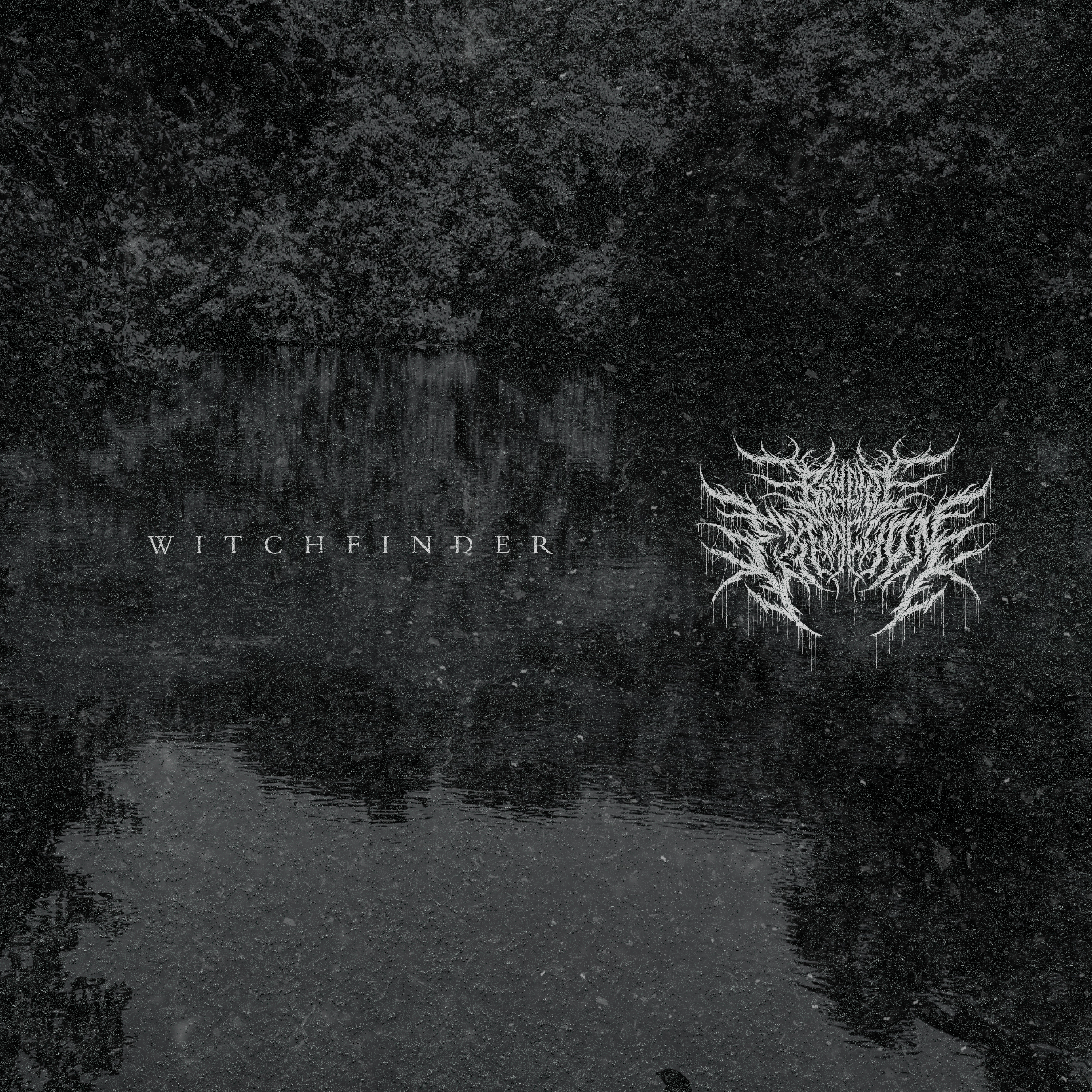 Beyond Extinction — Witchfinder artwork
